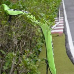 RIDECUP2015vol1_140